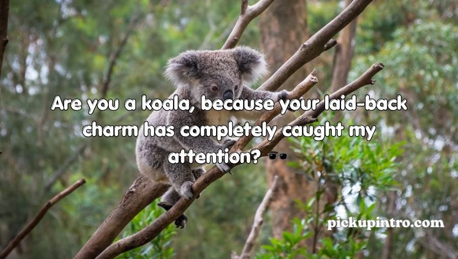 Koala Pickup Lines