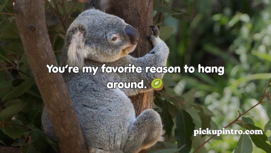 Koala Pickup Lines