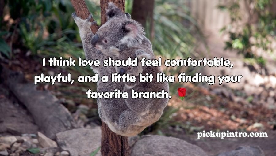 Koala Pickup Lines