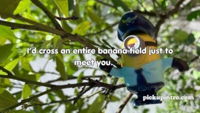 Minion Pick Up Lines