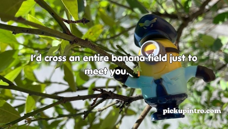 Minion Pick Up Lines