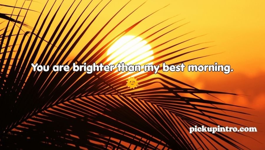 Sun Pickup Lines