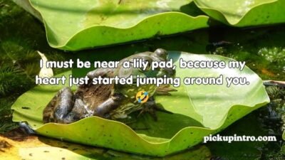 Toad Pickup Lines