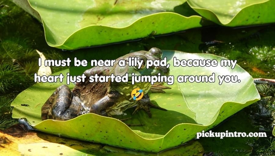 Toad Pickup Lines