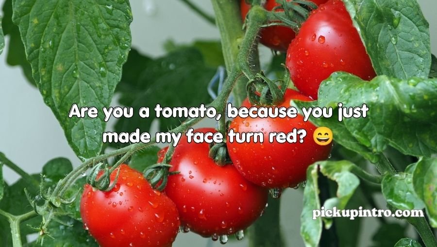 Tomato Pickup Lines