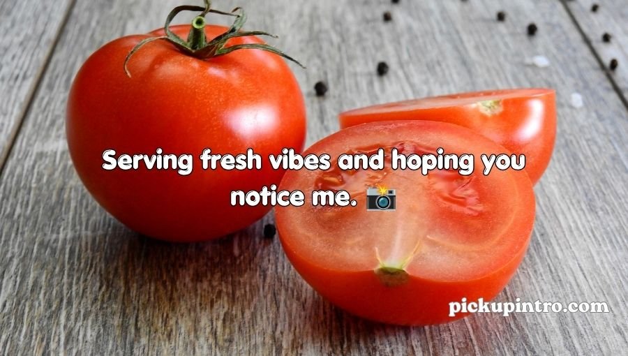 Tomato Pickup Lines