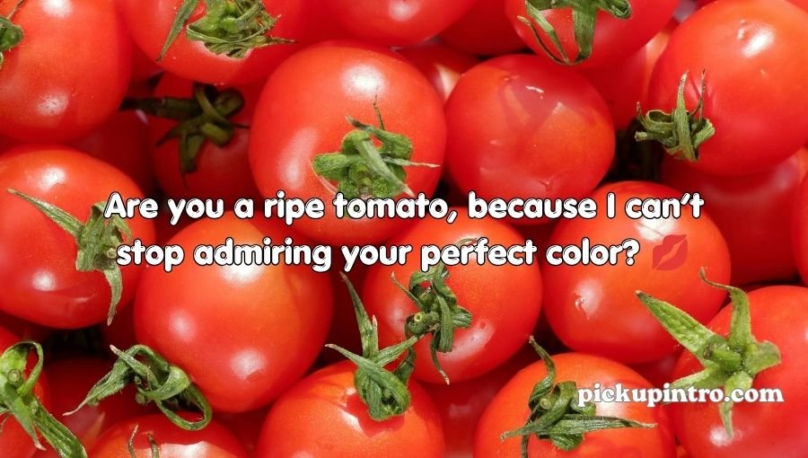 Tomato Pickup Lines
