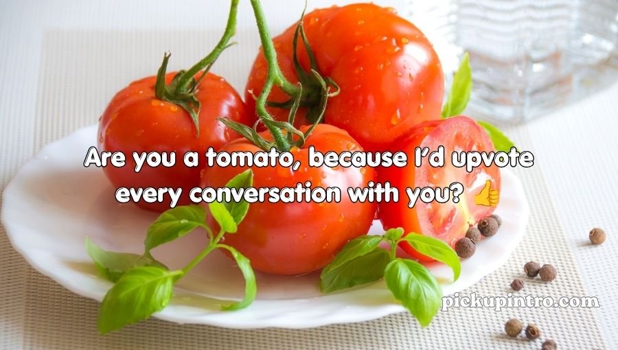 Tomato Pickup Lines