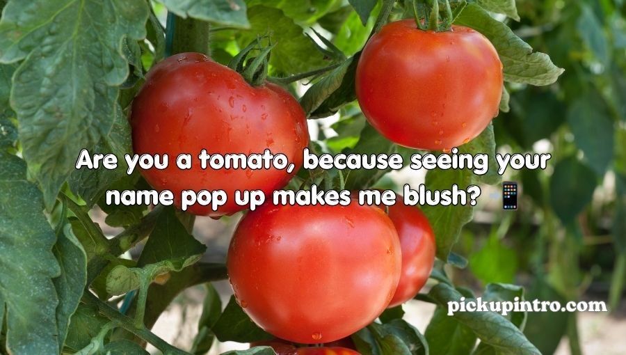 Tomato Pickup Lines