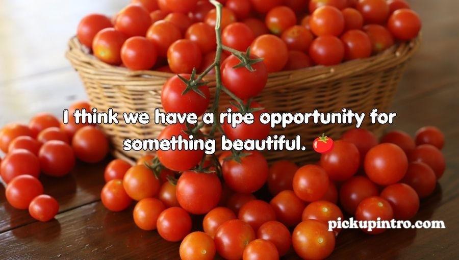 Tomato Pickup Lines