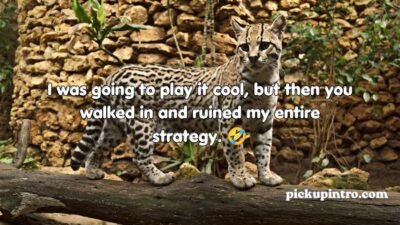 Wild Pick Up Lines