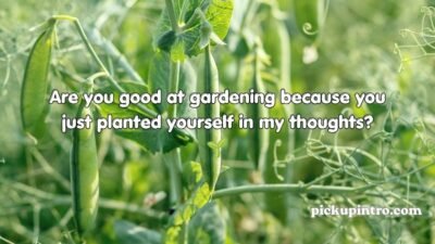 Pea Pickup Lines