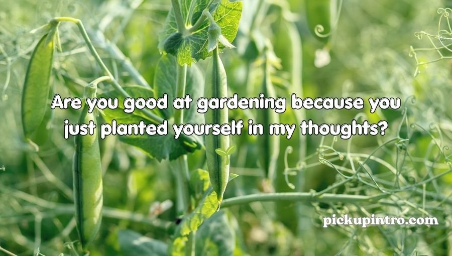 Pea Pickup Lines