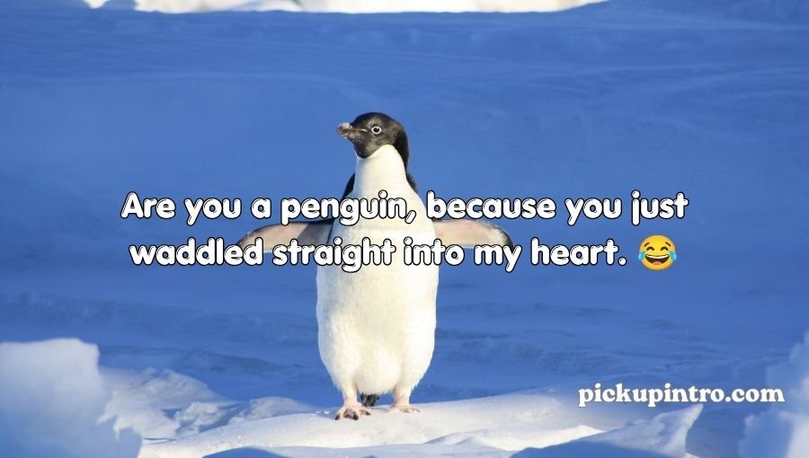 Penguin Pick Up Lines