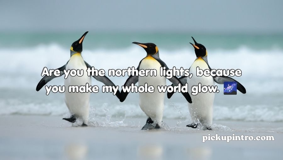 Penguin Pick Up Lines