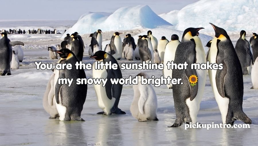 Penguin Pick Up Lines