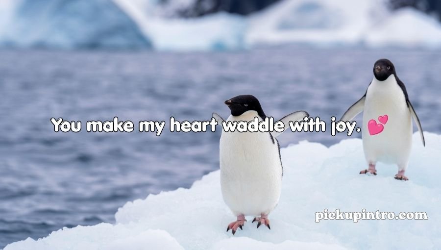 Penguin Pick Up Lines