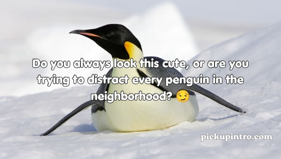 Penguin Pick Up Lines