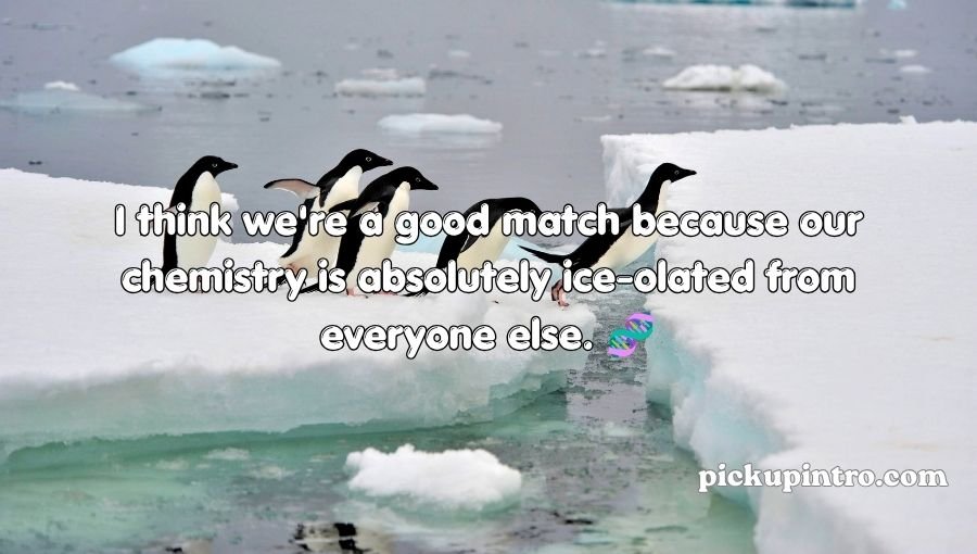 Penguin Pick Up Lines