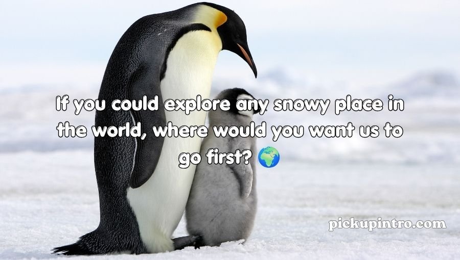 Penguin Pick Up Lines