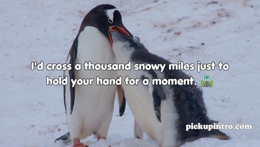 Penguin Pick Up Lines