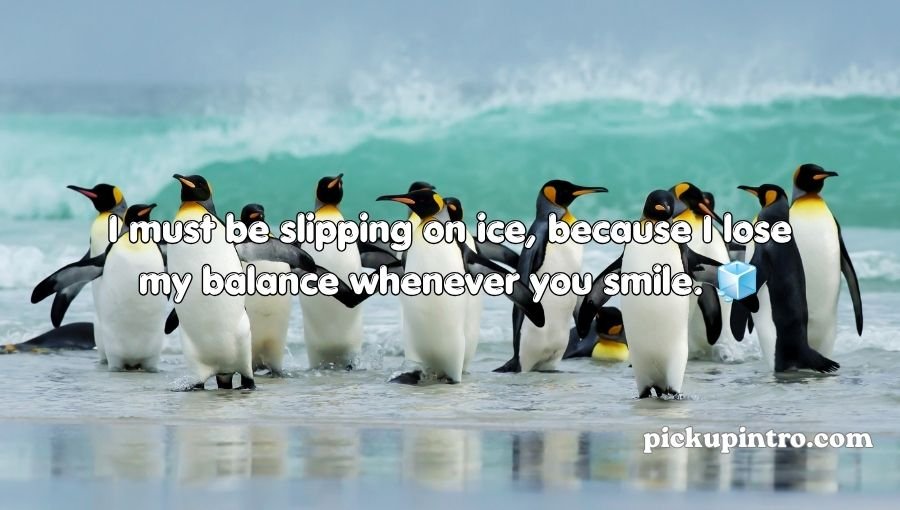 Penguin Pick Up Lines