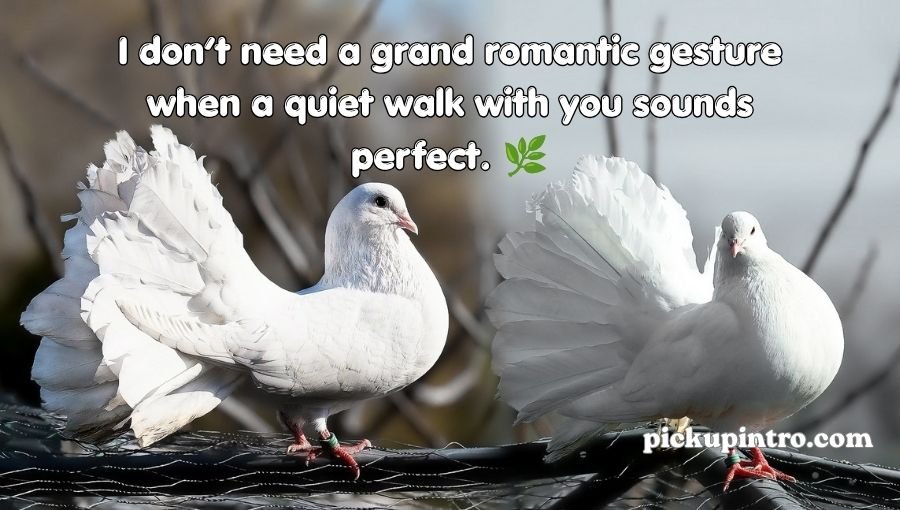 Pigeon Pickup Lines