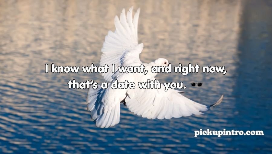 Pigeon Pickup Lines