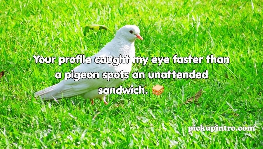 Pigeon Pickup Lines