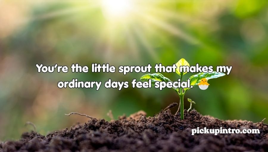 Plant Pick Up Lines
