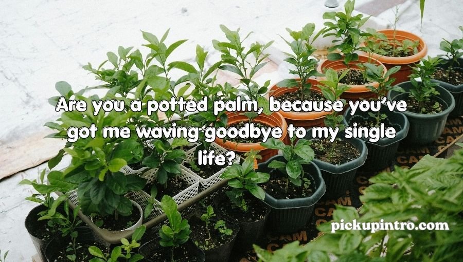 Plant Pick Up Lines
