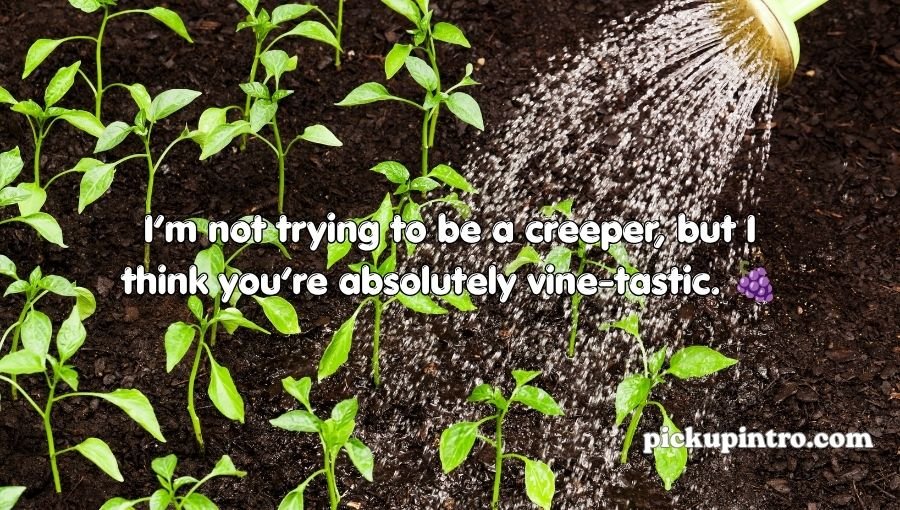 Plant Pick Up Lines