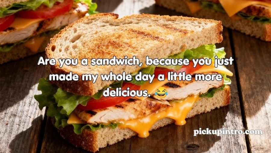 Sandwich Pickup Lines