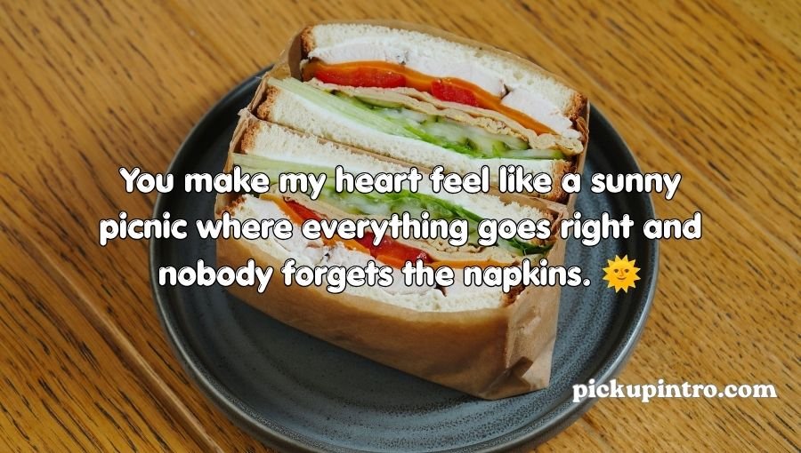 Sandwich Pickup Lines