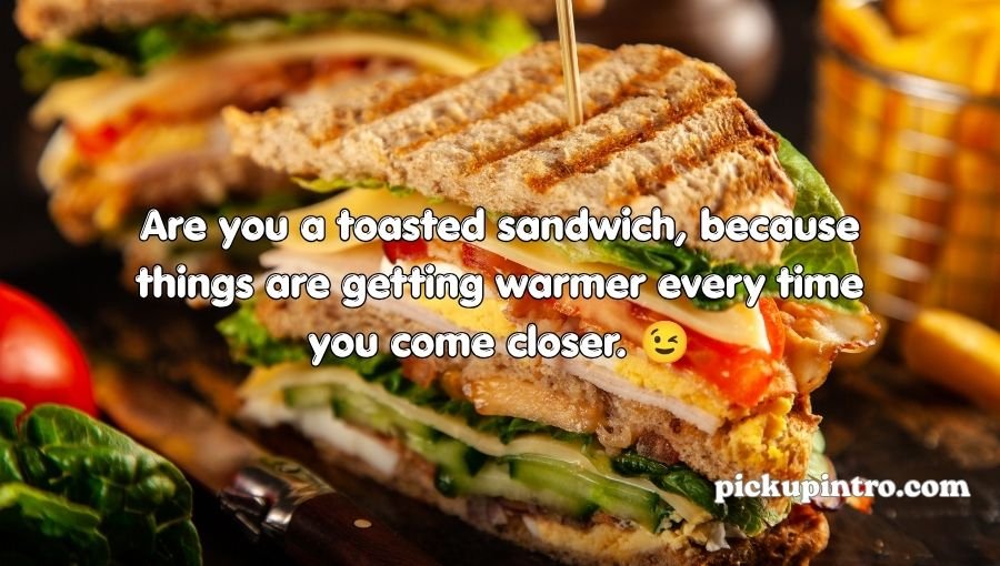 Sandwich Pickup Lines
