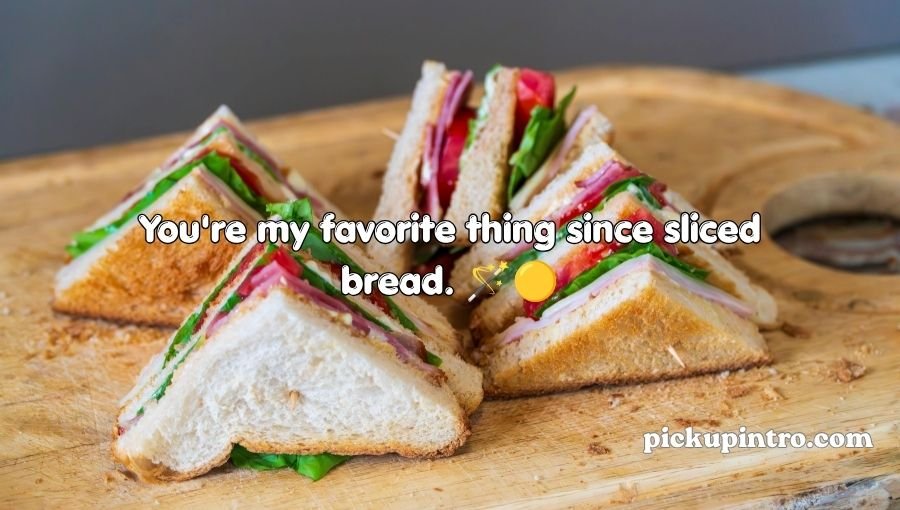 Sandwich Pickup Lines