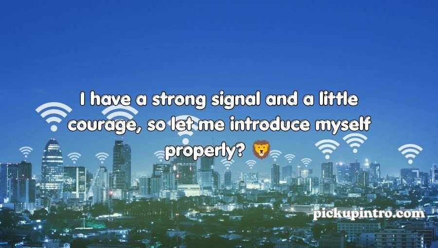 Wifi Pickup Lines